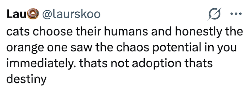 Lau@laurskoo cats choose their humans and honestly the orange one saw the chaos potential in you immediately. thats not adoption thats destiny