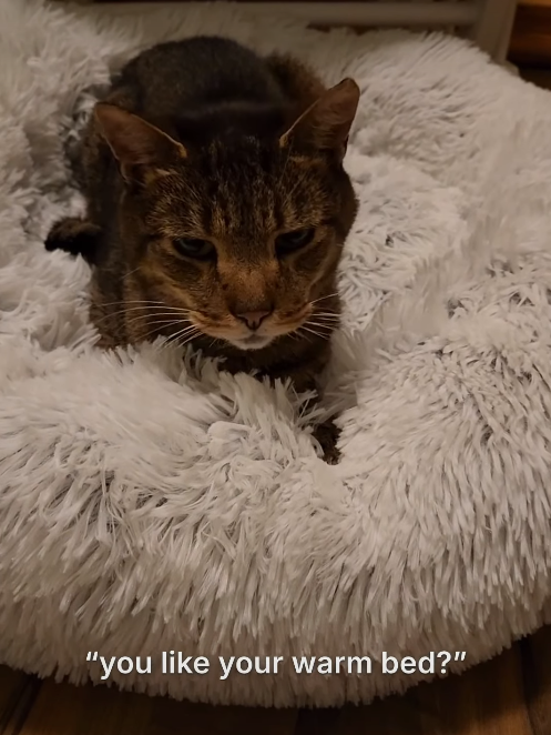 "you like your warm bed?"