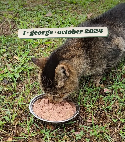 1.george. october 2024