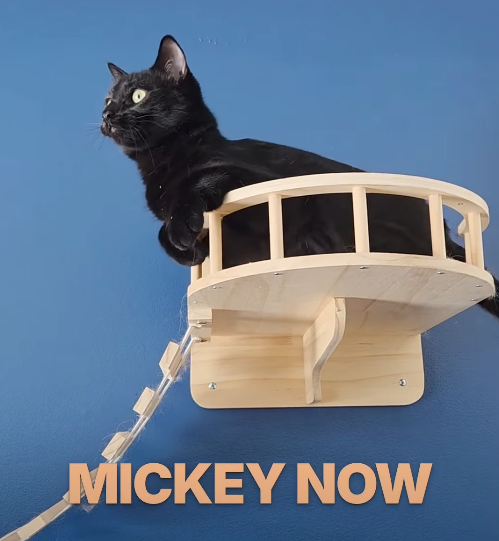 MICKEY NOW