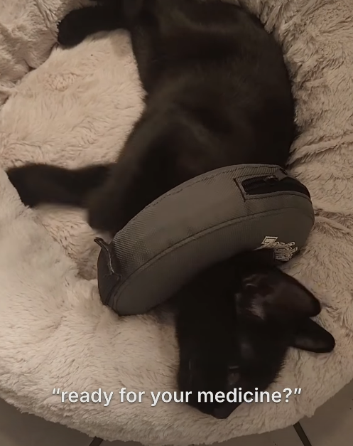 "ready for your medicine?"