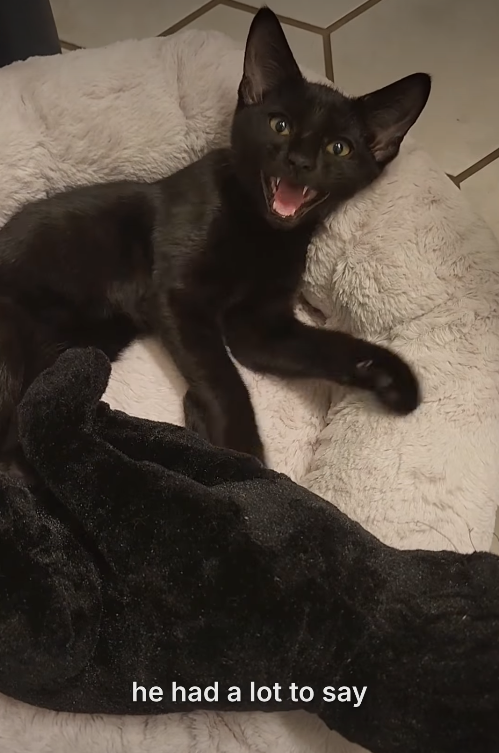 he had a lot to say