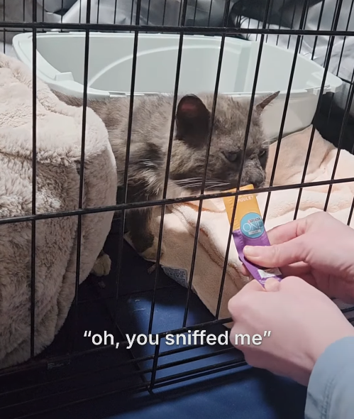 OULET "oh, you sniffed me"