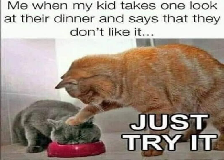 Me when my kid takes one look at their dinner and says that they don't like it... JUST TRY IT