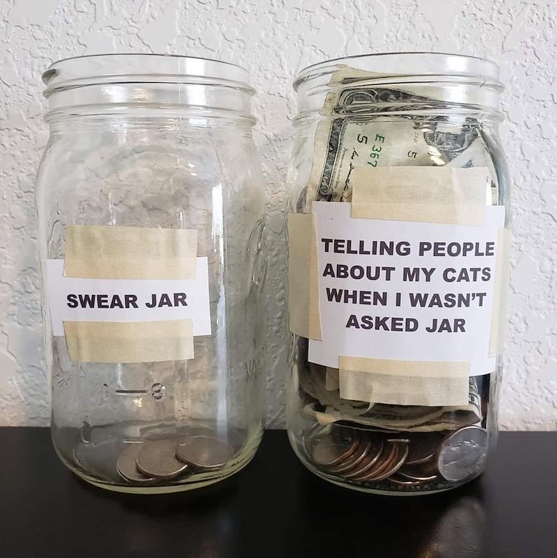 E 367 57 TELLING PEOPLE ABOUT MY CATS ASKED JAR SWEAR JAR WHEN I WASN'T