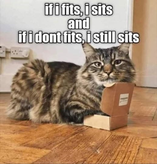 if i fits, i sits and if i dont fits, i still sits