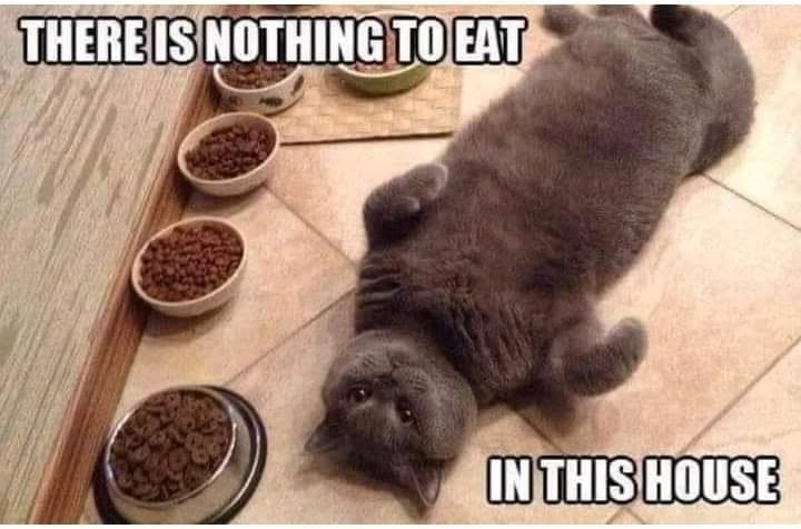 THERE IS NOTHING TO EAT IN THIS HOUSE