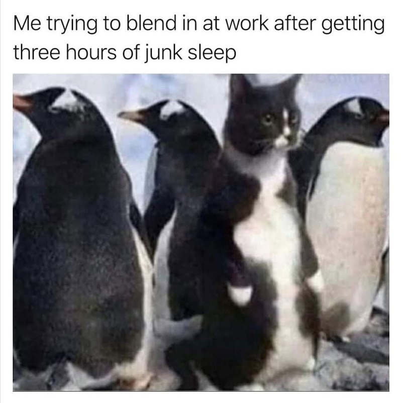 Me trying to blend in at work after getting three hours of junk sleep