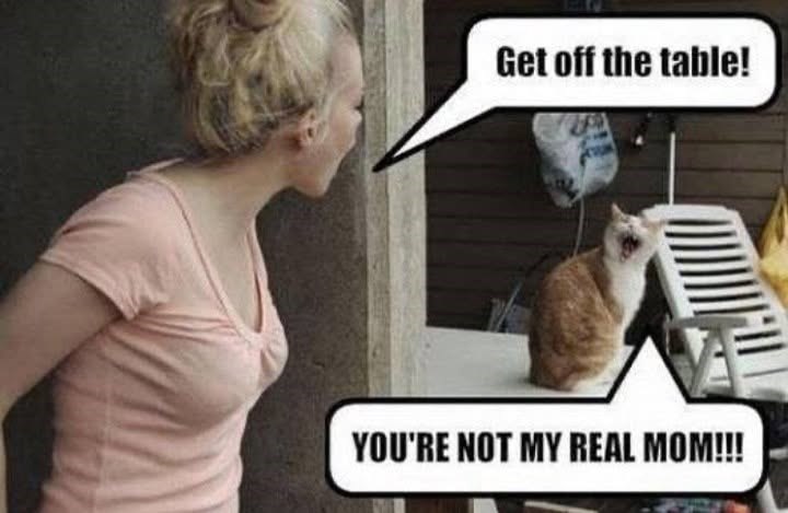 Get off the table! YOU'RE NOT MY REAL MOM!!!