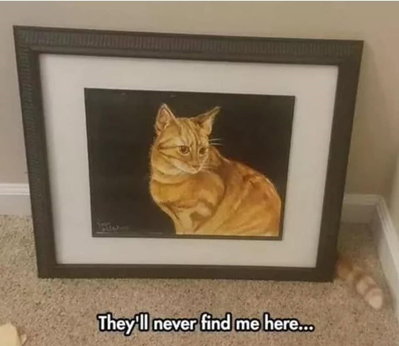 They'll never find me here...