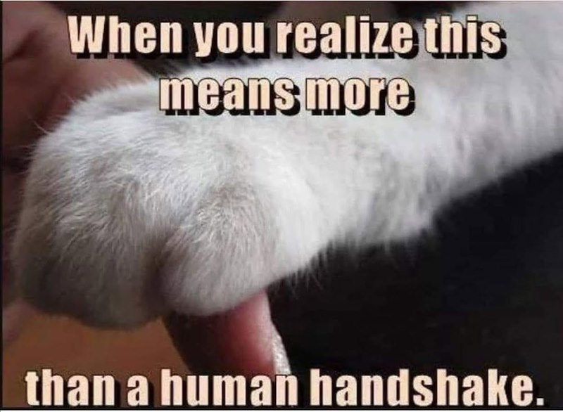 When you realize this means more than a human handshake.
