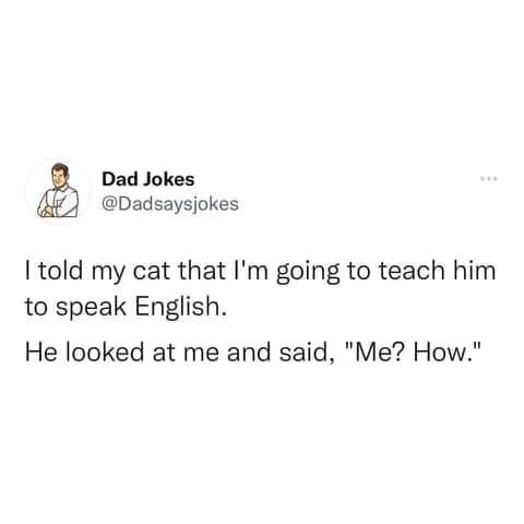 Dad Jokes @Dadsaysjokes I told my cat that I'm going to teach him to speak English. He looked at me and said, "Me? How."