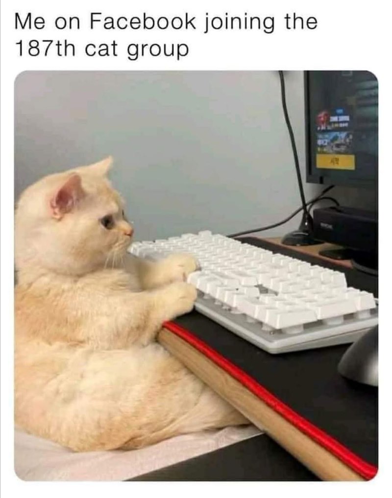 Me on Facebook joining the 187th cat group