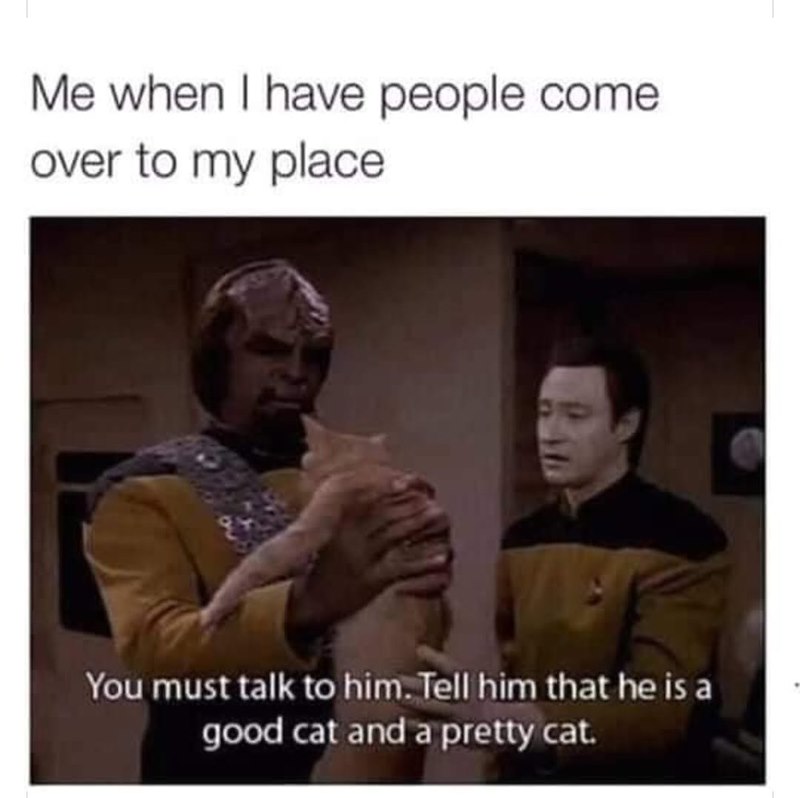 Me when I have people come over to my place You must talk to him. Tell him that he is a good cat and a pretty cat.