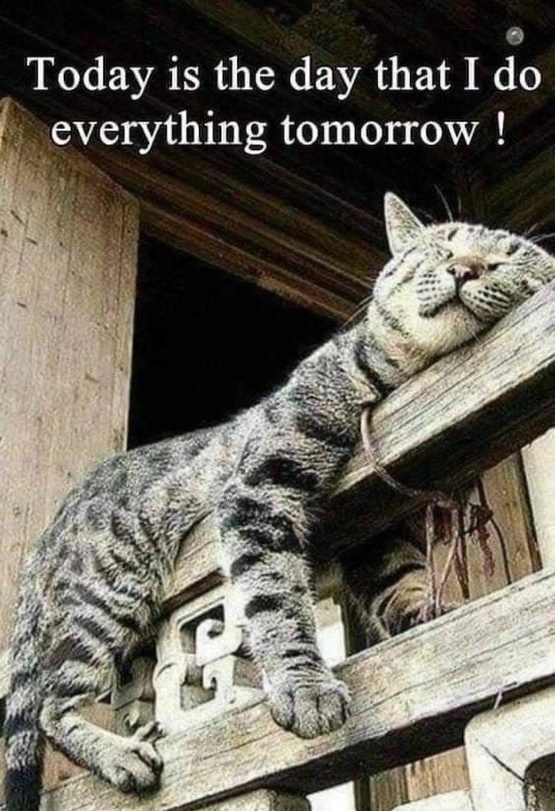 Today is the day that I do everything tomorrow!