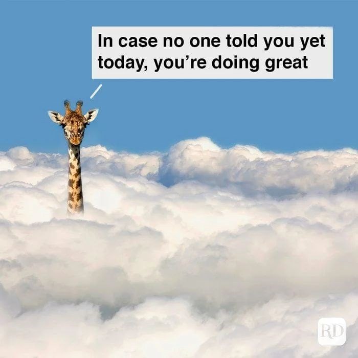 In case no one told you yet today, you're doing great RD