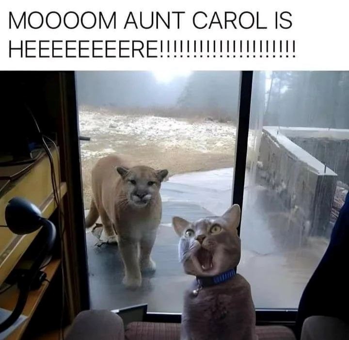 MOOOOM AUNT CAROL IS HEEEEEEEERE!!!!!!!!!!!!!||||||||
