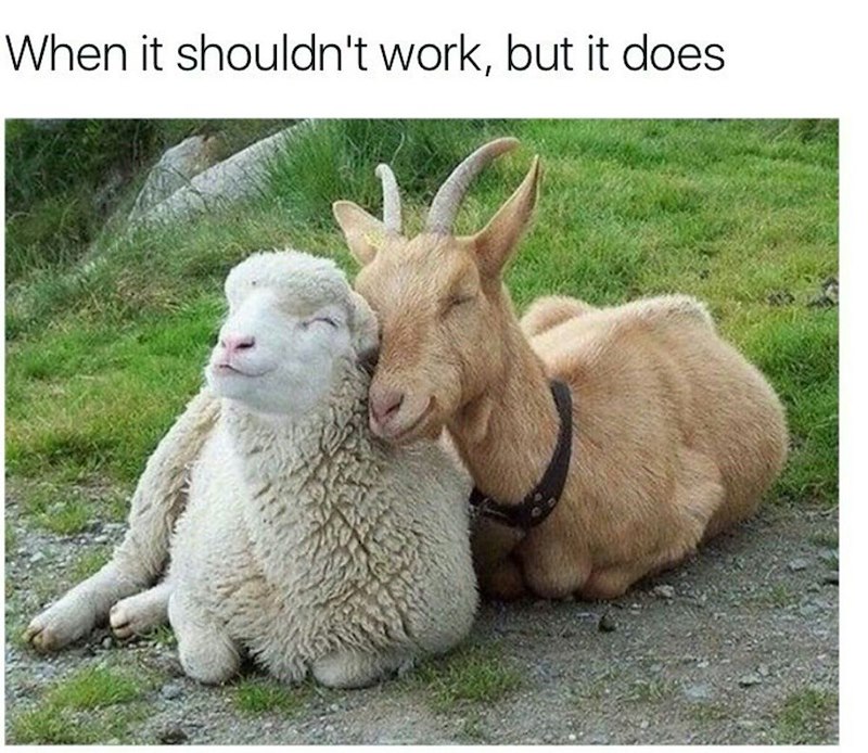 When it shouldn't work, but it does