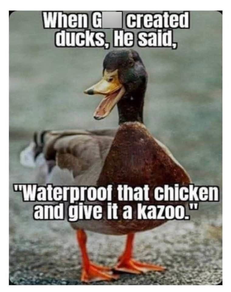 When G created ducks, He said, "Waterproof that chicken and give it a kazoo."