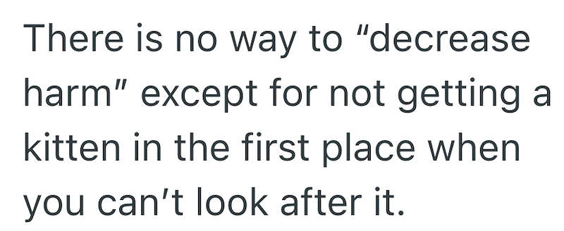 There is no way to "decrease harm" except for not getting a kitten in the first place when you can't look after it.