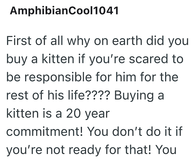 AmphibianCool1041 First of all why on earth did you buy a kitten if you're scared to be responsible for him for the rest of his life???? Buying a kitten is a 20 year commitment! You don't do it if you're not ready for that! You