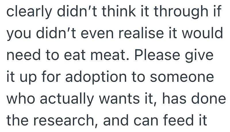 clearly didn't think it through if you didn't even realise it would need to eat meat. Please give it up for adoption to someone who actually wants it, has done the research, and can feed it