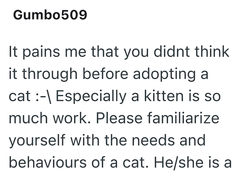Gumbo509 It pains me that you didnt think it through before adopting a cat :-\ Especially a kitten is so much work. Please familiarize yourself with the needs and behaviours of a cat. He/she is a