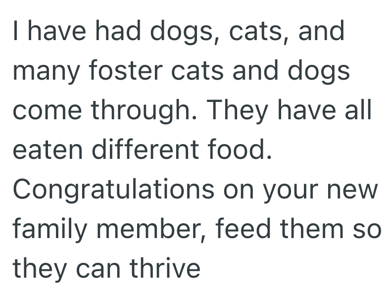 I have had dogs, cats, and many foster cats and dogs. come through. They have all eaten different food. Congratulations on your new family member, feed them so they can thrive