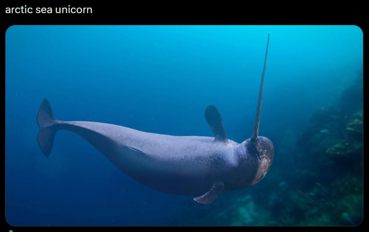 arctic sea unicorn