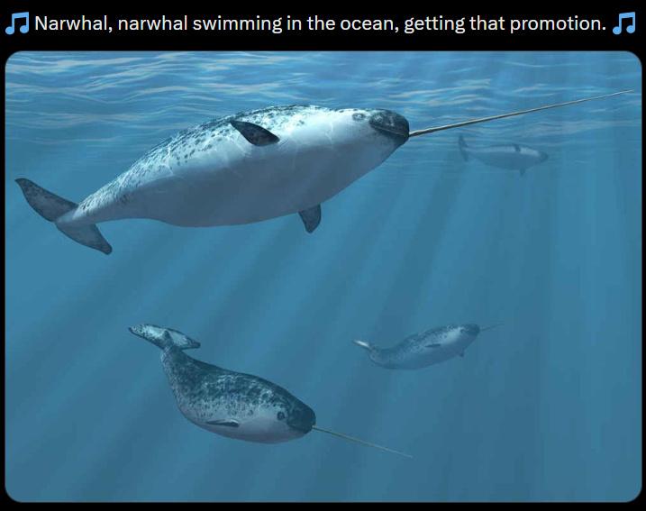 Narwhal, narwhal swimming in the ocean, getting that promotion. ♫