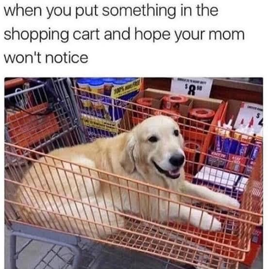 when you put something in the shopping cart and hope your mom won't notice 100% FREE $8