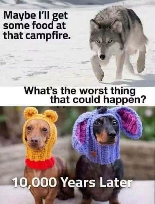 Maybe I'll get some food at that campfire. What's the worst thing that could happen? 10,000 Years Later