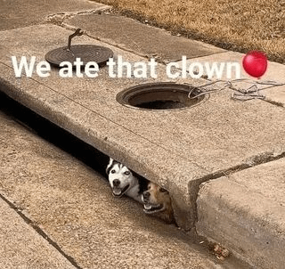 We ate that clown