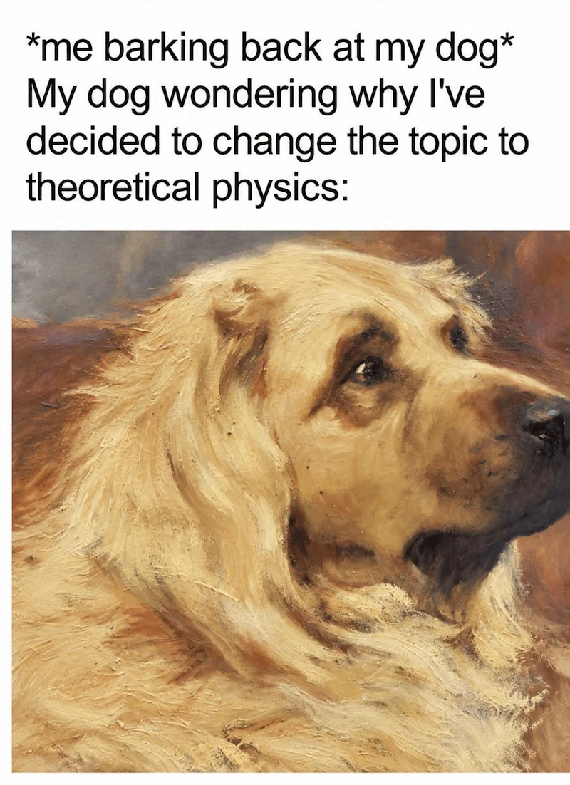 *me barking back at my dog* My dog wondering why I've decided to change the topic to theoretical physics: