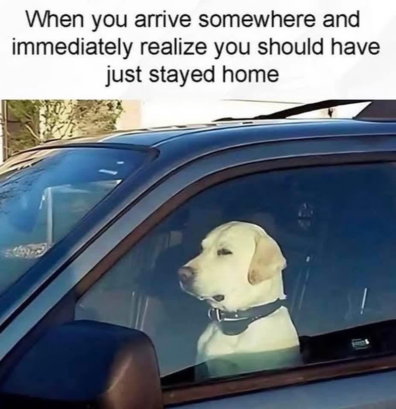 When you arrive somewhere and immediately realize you should have just stayed home