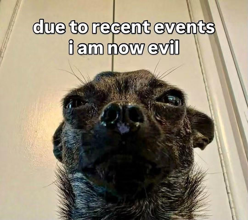 due to recent events i am now evil
