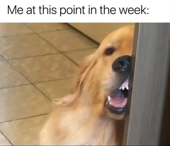 Me at this point in the week: