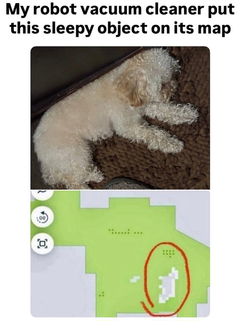 O & My robot vacuum cleaner put this sleepy object on its map