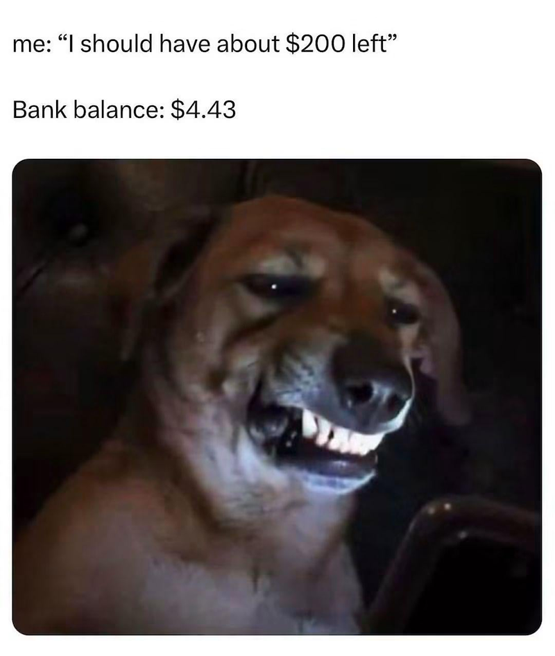 me: "I should have about $200 left" Bank balance: $4.43