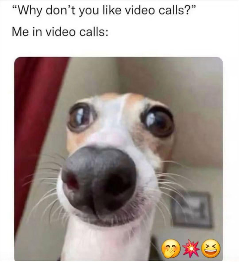 "Why don't you like video calls?" Me in video calls: