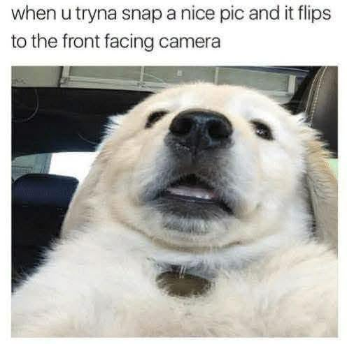 when u tryna snap a nice pic and it flips to the front facing camera