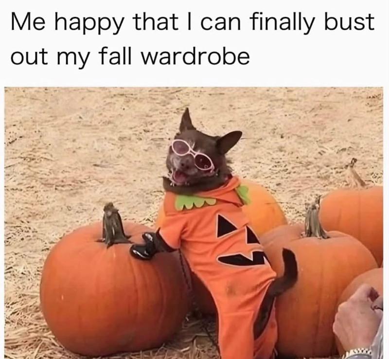 Me happy that I can finally bust out my fall wardrobe