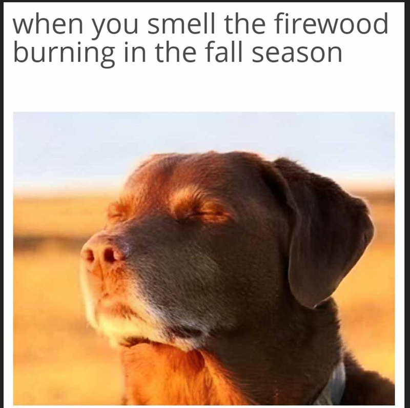 when you smell the firewood burning in the fall season