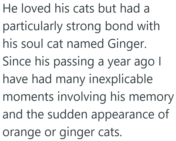 He loved his cats but had a particularly strong bond with his soul cat named Ginger. Since his passing a year ago I have had many inexplicable moments involving his memory and the sudden appearance of orange or ginger cats.