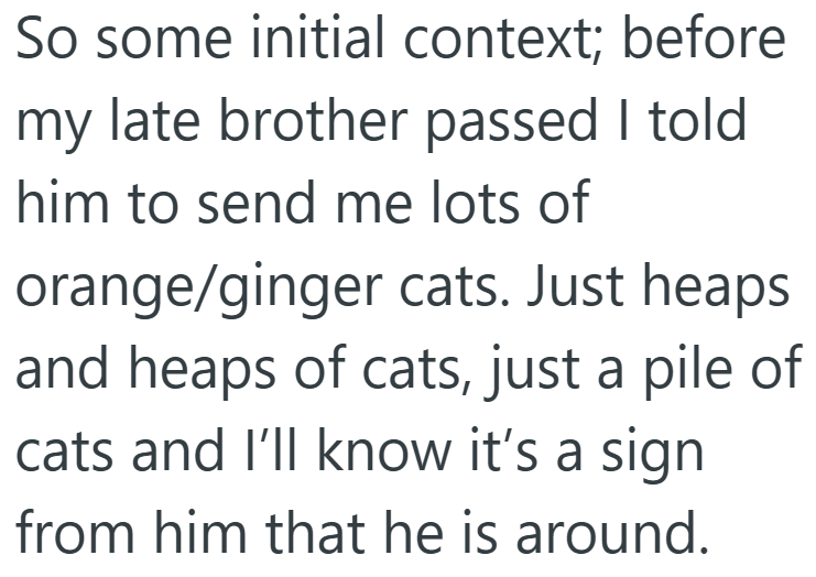 So some initial context; before my late brother passed I told him to send me lots of orange/ginger cats. Just heaps and heaps of cats, just a pile of cats and I'll know it's a sign from him that he is around.