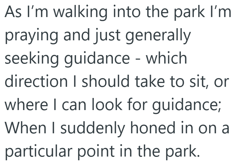 As I'm walking into the park I'm praying and just generally seeking guidance - which direction I should take to sit, or where I can look for guidance; When I suddenly honed in on a particular point in the park.