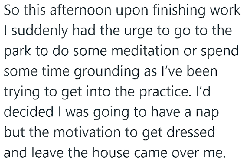 So this afternoon upon finishing work I suddenly had the urge to go to the park to do some meditation or spend some time grounding as I've been trying to get into the practice. I'd decided I was going to have a nap but the motivation to get dressed and leave the house came over me.