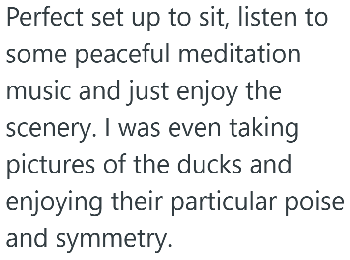 Perfect set up to sit, listen to some peaceful meditation music and just enjoy the scenery. I was even taking pictures of the ducks and enjoying their particular poise and symmetry.
