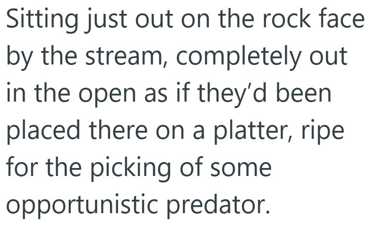 Sitting just out on the rock face by the stream, completely out in the open as if they'd been placed there on a platter, ripe for the picking of some opportunistic predator.
