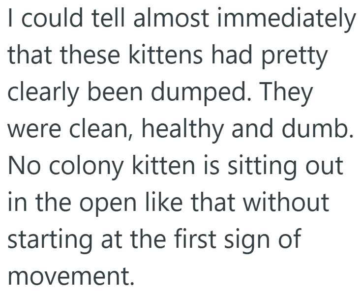 I could tell almost immediately that these kittens had pretty clearly been dumped. They were clean, healthy and dumb. No colony kitten is sitting out in the open like that without starting at the first sign of movement.